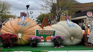 Circleville Pumpkin Show 2021 [upl. by Aivitnahs649]