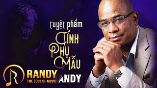 Tuyệt Phẩm Tình Phụ Mẫu ‣ 20 Bài Hát Về Cha Mẹ Hay Và Ý Nghĩa RANDY [upl. by Fionna737]