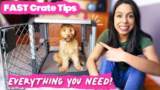 FASTEST Crate Training amp Why you NEED this Dog Crate 🐶 [upl. by Eizzo]