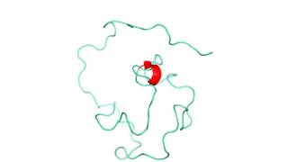 Intrinsically disordered protein the gamma subunit of cGMP phosphodiesterase [upl. by Guria]