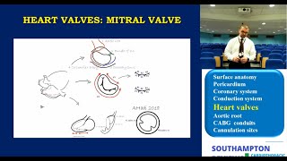 Bicuspid Aortic Valve with Mild Stenosis [upl. by Kerred931]