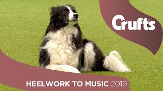 Freestyle International Heelwork to Music  Part 2  Crufts 2019 [upl. by Nna]