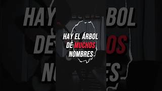 Poema de Homero Aridjis • Poesía y Beats poemas poesia versos ritmoypoesia poeta palabras [upl. by Linc]