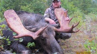 New Brunswick Moose Hunting 2016 Long Lake Adventures [upl. by Acirrehs]