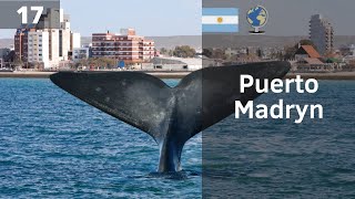 PUERTO MADRYN el PARAÍSO argentino  CHUBUT Argentina [upl. by Lytton410]