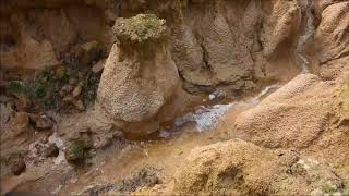 Active gully erosion [upl. by Stedman719]