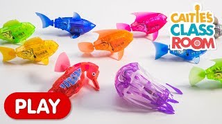 Learn Colors with Amazing Robot Fish  Caities Classroom [upl. by Trip836]