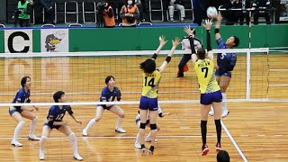 【黒鷲旗2022】金蘭会高校 vs 東レ・アローズ 第１セット ＜女子バレーボール＞ [upl. by Yelbmik]