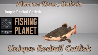 Unique Redtail Catfish  Marron River Bolivia  Fishing Planet Guide [upl. by Susej]