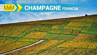 Madrileños por el mundo Champagne Francia [upl. by Lou382]