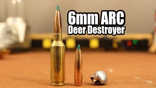 6mm ARC Deer Load  90gr Sierra Game Changer with LeverEvolution [upl. by Jennette]