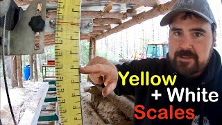 How to Use the Woodland Mills Sawmill Scales [upl. by Nawud]