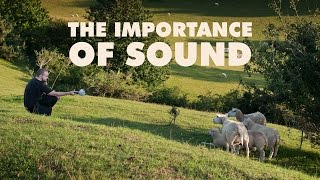 The Importance of Sound [upl. by Mafalda]