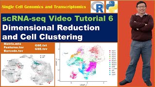 Seurat Video Tutorialvideo 6 Dimensional Reduction and Cell Clustering [upl. by Viola108]