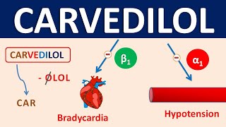 Carvedilol  Mechanism precautions side effects amp uses [upl. by Adnuhser296]