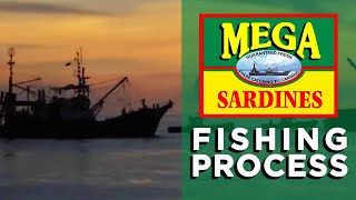 The Fishing Process  How Sardines Are Made  The Mega Global Story [upl. by Siver]