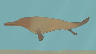 From Feet to Flippers The Evolution of Whales [upl. by Noryb]