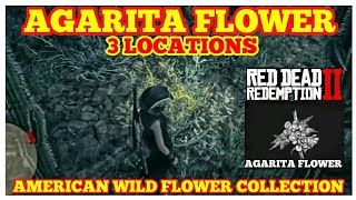 AGARITA FLOWER 3 Locations RARE American Wild Flower Collection Red Dead Online [upl. by Dorkus]