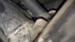 2004 Honda Pilot Water Leak Solved [upl. by Ogg828]