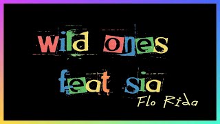 Wild Ones feat Sia  Flo Rida  10hitbox [upl. by Nellak]