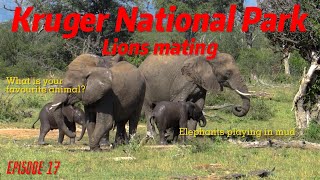 quotExploring Episode 17 Self Drive Safari in the Kruger National Parkquot [upl. by Trinee973]