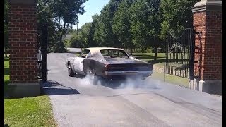 1969 Dodge Charger Hellcat quotReverencequot  driving amp burnout [upl. by Adore137]