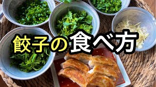 冷凍餃子の健康的で旨すぎる食べ方 [upl. by Jereme]