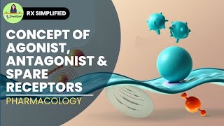 Concept of Agonist Antagonist amp Spare receptors [upl. by Tiphanie]