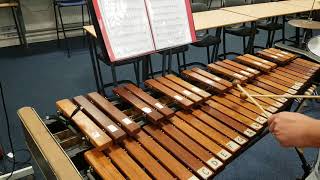 The Entertainer National 5 Xylophone Larkhall Academy [upl. by Aljan30]