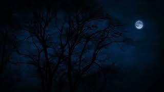 Tree Tops Blowing on a Windy Night Under The Moonlight for Sleep Insomnia Tinnitus [upl. by Bainbridge697]