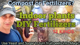 Feeding indoor Plants fertilizers [upl. by Tarazi]