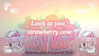 Strawberry Cow FULL SONG Lyrics  look at you strawberry cow [upl. by Yssis]