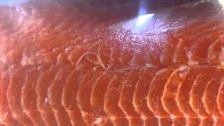 Live worms in Costco salmon [upl. by Coussoule]