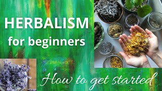 Herbalism for beginners  How to get started [upl. by Angela732]