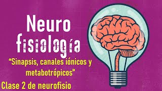 Técnica para aprender de sinapsis neuronal canales iónicos y metabotrópicos fácil y sencillo [upl. by Janos569]