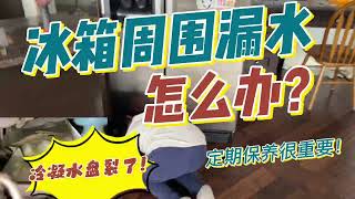 冰箱周围漏水怎么办？｜冷凝水盘裂了要更换 [upl. by Ahsitauq]