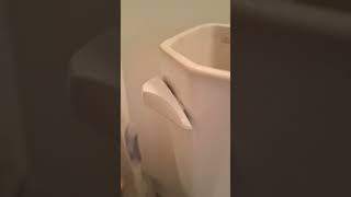 Fast Fix  Loose toilet handle [upl. by Timmie]