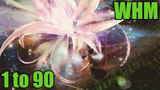 FFXIV Endwalker ConjurerWhite Mage 1 to 90 Leveling Skills Guide [upl. by Anrol]