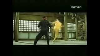 Bruce lee les vrais combats du jeu de la mort sans doublure ni trucages [upl. by Airret]