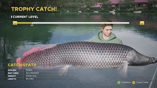 560lb Cobra Trophy Catch  Gillhams Fishing Resort  Fishing Sim World Pro Tour [upl. by Hesther]