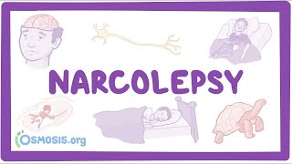 Narcolepsy NORD  causes symptoms diagnosis treatment pathology [upl. by Gnuy726]