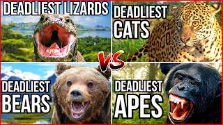 All 8 Ranking Deadly Animal Videos That I have Ever Made  Deadliest Animals [upl. by Mcintyre]