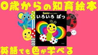 公式【絵本 読み聞かせ】英語でも色が学べる0歳からの知育絵本『Sassyのちいくえほん いろいろぱっ』【連続動画】 [upl. by Eatnhoj606]