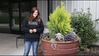 Planting Large Containers [upl. by Donegan87]