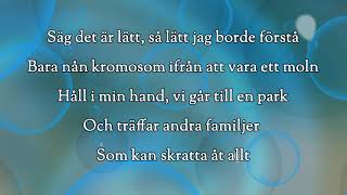 Det kommer bli bra karaoke  lyrics [upl. by Narej989]