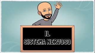 Il Sistema nervoso [upl. by Anwahsat]