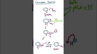 Chichibabin Reaction [upl. by Nothgierc605]
