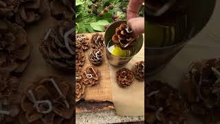 How to Make Homemade Pine Cone Fire Starters with Essential Oils [upl. by Barna]