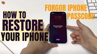 Forgot Your iPhone Passcode Heres How to Restore Your iPhone 12 11 XR XS X etc  AppGeeker [upl. by Jsandye]