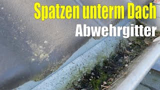 Spatzen unterm Dach  Abwehrgitter [upl. by Nosille830]